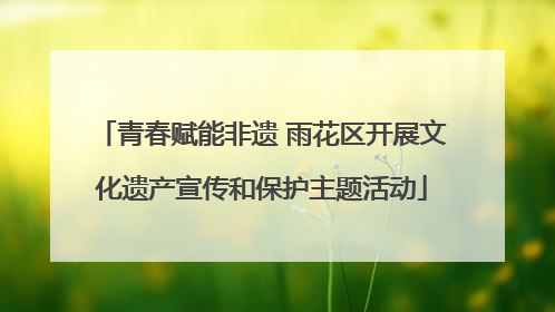 青春赋能非遗 雨花区开展文化遗产宣传和保护主题活动