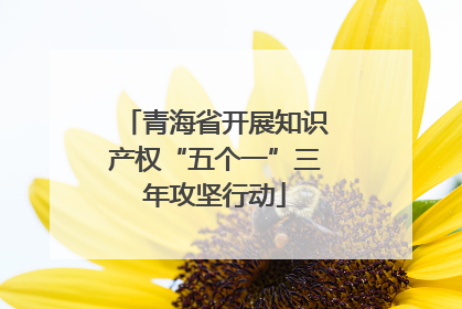 青海省开展知识产权“五个一”三年攻坚行动