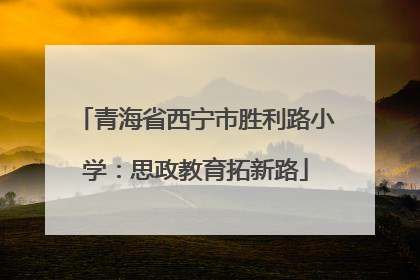 青海省西宁市胜利路小学：思政教育拓新路