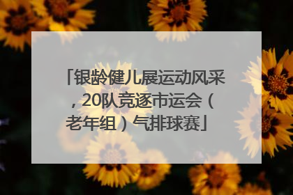 银龄健儿展运动风采，20队竞逐市运会（老年组）气排球赛