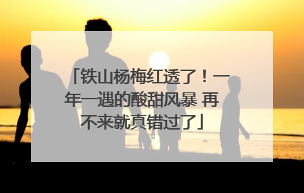 铁山杨梅红透了！一年一遇的酸甜风暴 再不来就真错过了