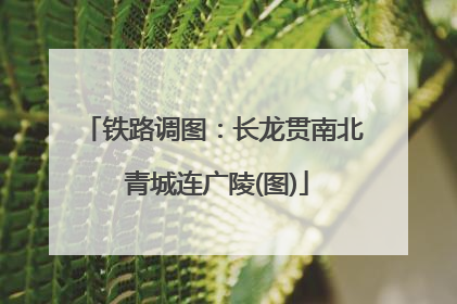 铁路调图：长龙贯南北 青城连广陵(图)