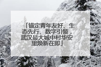 锚定青年友好、生态先行、数字引领，武汉最大城中村华安里焕新在即
