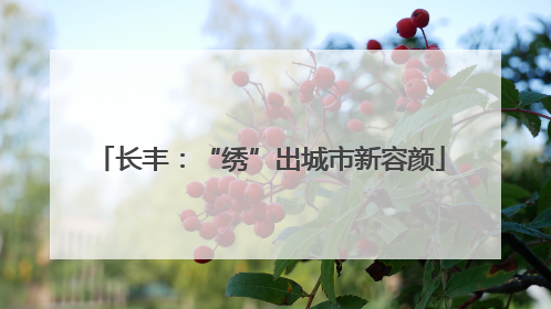 长丰：“绣”出城市新容颜