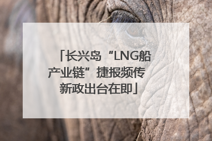 长兴岛“LNG船产业链”捷报频传 新政出台在即