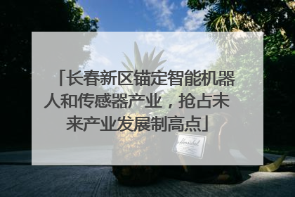 长春新区锚定智能机器人和传感器产业，抢占未来产业发展制高点