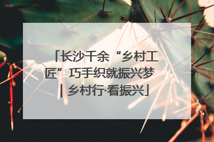 长沙千余“乡村工匠”巧手织就振兴梦｜乡村行·看振兴