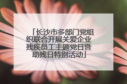 长沙市多部门党组织联合开展关爱企业残疾员工主题党日暨助残日特别活动