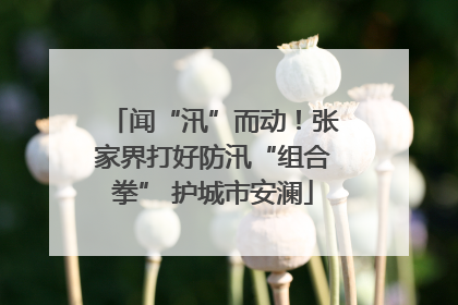 闻“汛”而动！张家界打好防汛“组合拳” 护城市安澜