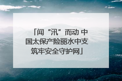 闻“汛”而动 中国太保产险丽水中支筑牢安全守护网