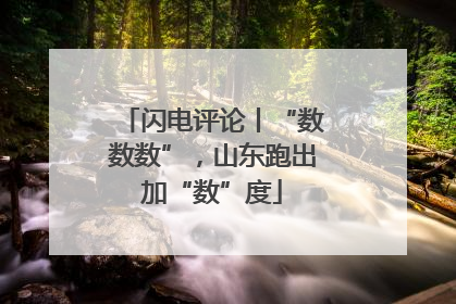 闪电评论丨“数数数”，山东跑出加“数”度