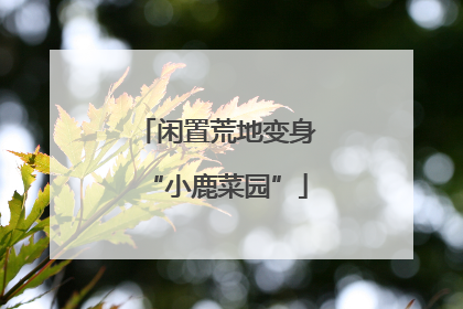 闲置荒地变身“小鹿菜园”