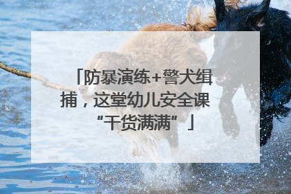 防暴演练+警犬缉捕，这堂幼儿安全课“干货满满”
