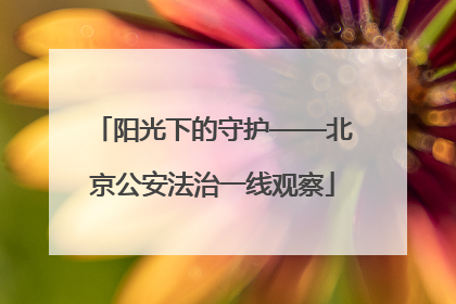 阳光下的守护——北京公安法治一线观察