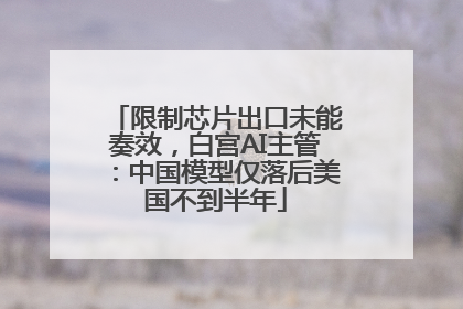 限制芯片出口未能奏效，白宫AI主管：中国模型仅落后美国不到半年