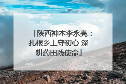 陕西神木李永亮：扎根乡土守初心 深耕药田践使命