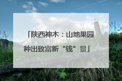 陕西神木：山地果园种出致富新“钱”景