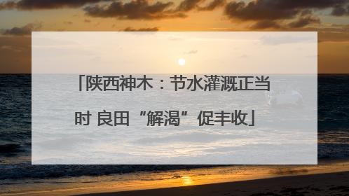 陕西神木：节水灌溉正当时 良田“解渴”促丰收