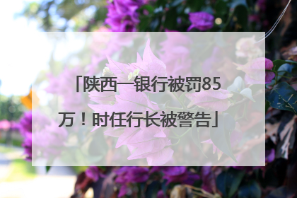 陕西一银行被罚85万！时任行长被警告