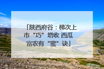 陕西府谷：梯次上市“巧”增收 西瓜富农有“蜜”诀