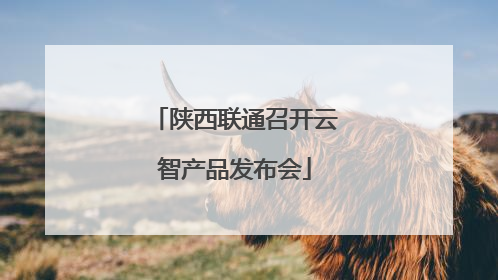 陕西联通召开云智产品发布会