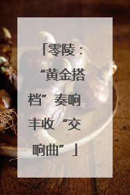零陵：“黄金搭档”奏响丰收“交响曲”