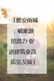 雅安雨城：破难题 挖潜力 促进建筑业高质量发展