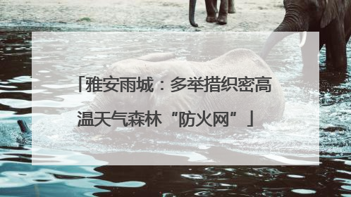 雅安雨城：多举措织密高温天气森林“防火网”
