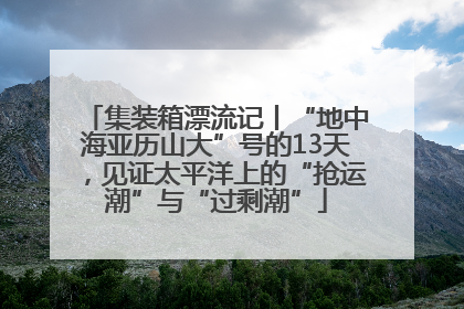 集装箱漂流记丨“地中海亚历山大”号的13天，见证太平洋上的“抢运潮”与“过剩潮”