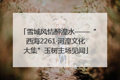 雪域风情醉湟水——“西海2261·河湟文化大集”玉树主场见闻