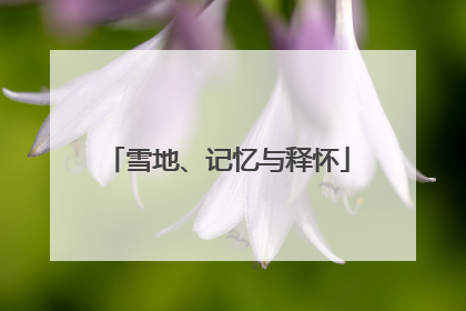 雪地、记忆与释怀