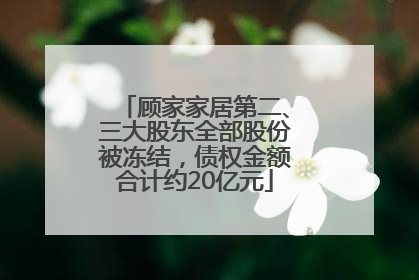 顾家家居第二、三大股东全部股份被冻结，债权金额合计约20亿元