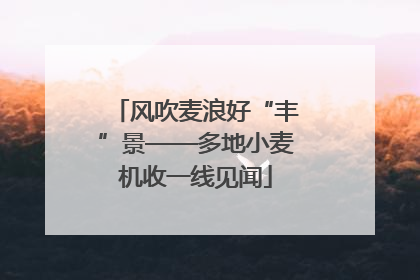 风吹麦浪好“丰”景——多地小麦机收一线见闻
