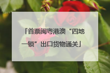 首票闽粤港澳“四地一锁”出口货物通关