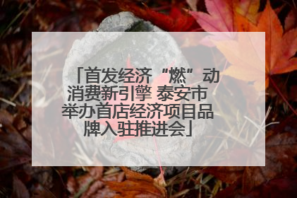 首发经济“燃”动消费新引擎 泰安市举办首店经济项目品牌入驻推进会