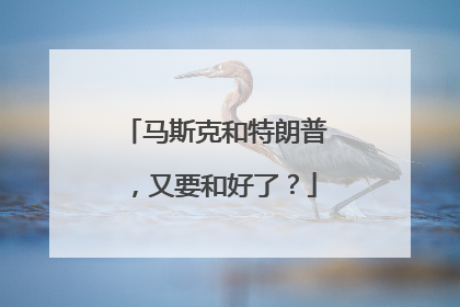 马斯克和特朗普，又要和好了？