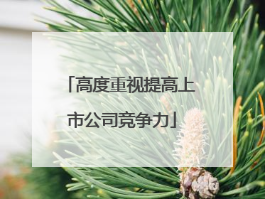 高度重视提高上市公司竞争力