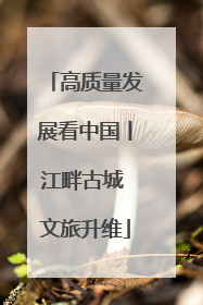 高质量发展看中国丨江畔古城 文旅升维