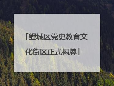 鲤城区党史教育文化街区正式揭牌
