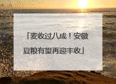 麦收过八成！安徽夏粮有望再迎丰收