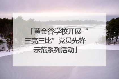 黄金谷学校开展“三亮三比”党员先锋示范系列活动