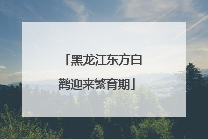 黑龙江东方白鹳迎来繁育期