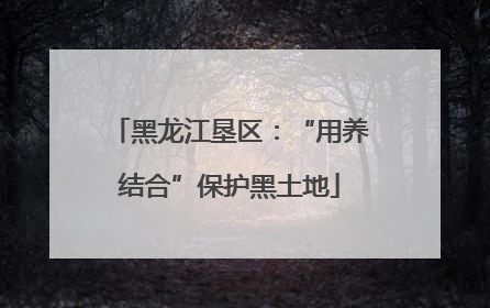 黑龙江垦区：“用养结合”保护黑土地