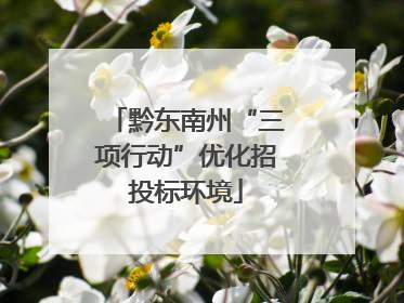 黔东南州“三项行动”优化招投标环境