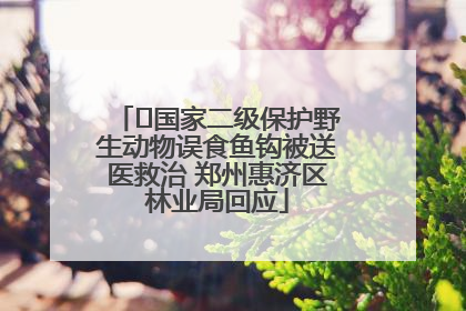 ﻿国家二级保护野生动物误食鱼钩被送医救治 郑州惠济区林业局回应