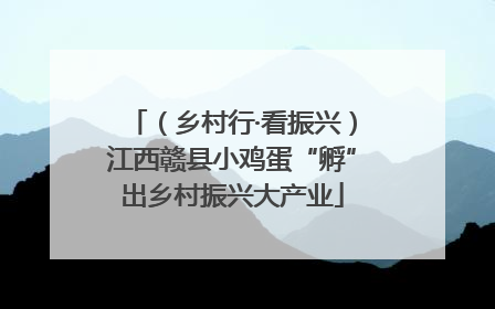 （乡村行·看振兴）江西赣县小鸡蛋“孵”出乡村振兴大产业