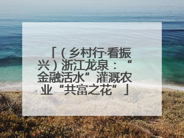 （乡村行·看振兴）浙江龙泉：“金融活水”灌溉农业“共富之花”