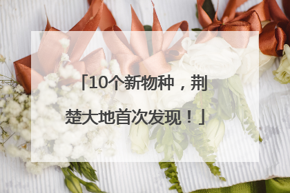 10个新物种，荆楚大地首次发现！