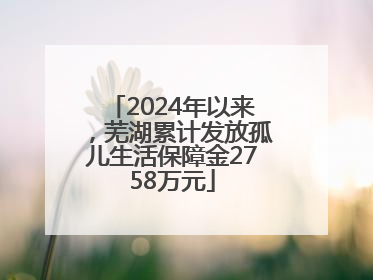 2024年以来，芜湖累计发放孤儿生活保障金2758万元