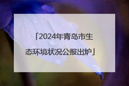 2024年青岛市生态环境状况公报出炉